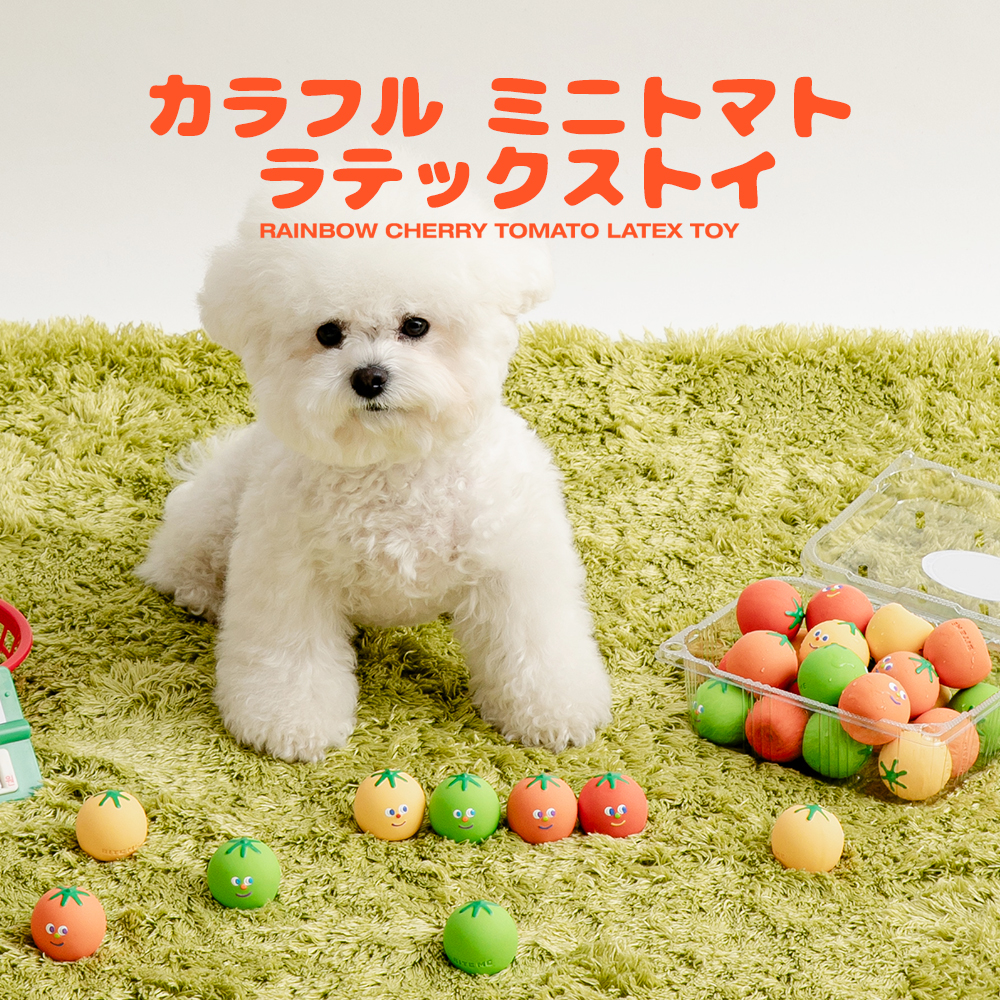 カラフル ミニトマト ラテックストイ | ペット用の食品・用品・衣類